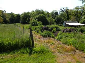 DSCN0107.JPG